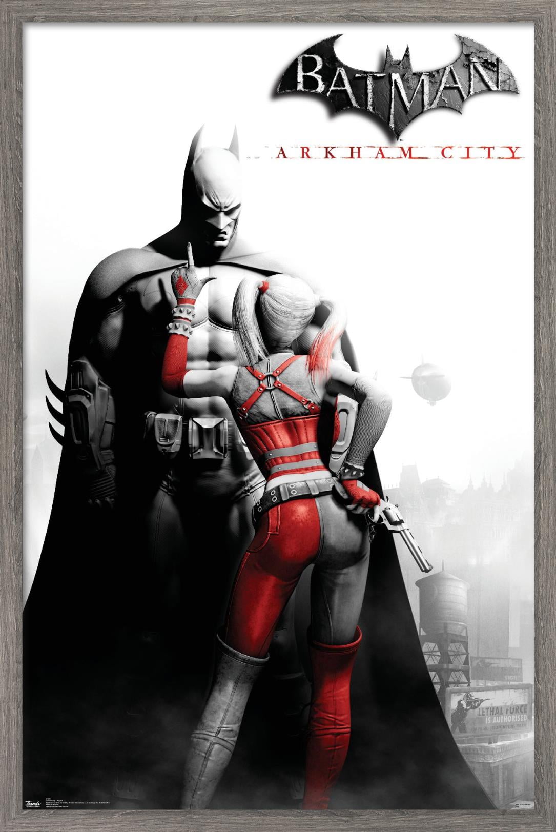 DC Comics VIdeo Game - Arkham City - Key Art Poster