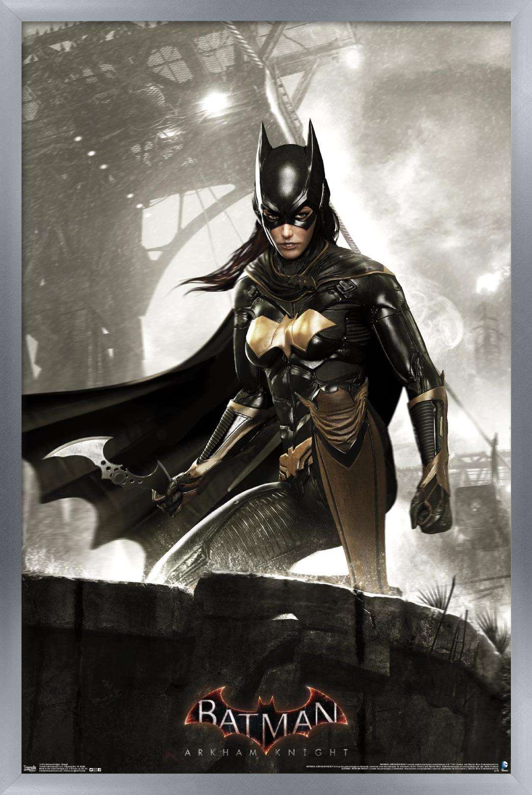 DC Comics Video Game - Arkham Knight - Batgirl Wall Poster, 14.725" x 22.375", Framed
