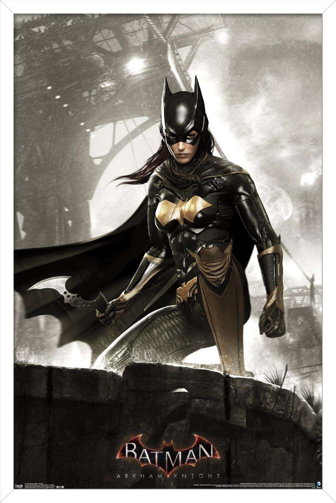 DC Comics Video Game - Arkham Knight - Batgirl Wall Poster, 14.725" x 22.375", Framed