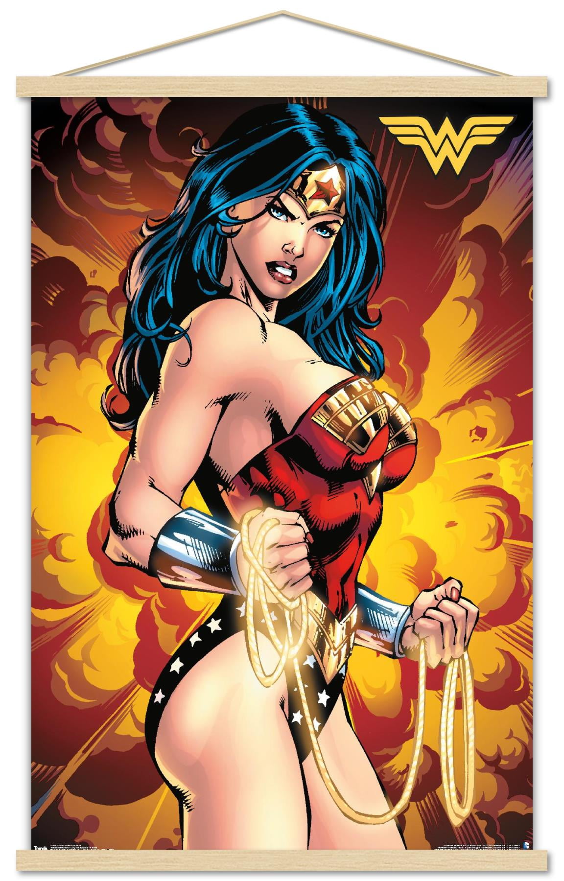 Comics Wonder Poster, 22.375\
