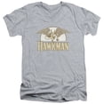 thumbnail image 1 of DC-Fly By - Short Sleeve Adult 30-1 V-Neck Tee - Heather & Small, 1 of 1