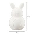 thumbnail image 1 of Plastic Bunny Container, White, 10.25", Easter by Way To Celebrate, 1 of 5