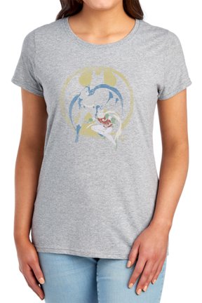 DC Team Women's T Shirt, Athletic Heather, Large