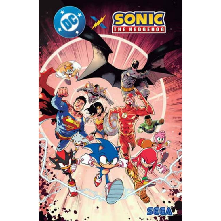 DC X Sonic the Hedgehog (Paperback) - Walmart.com