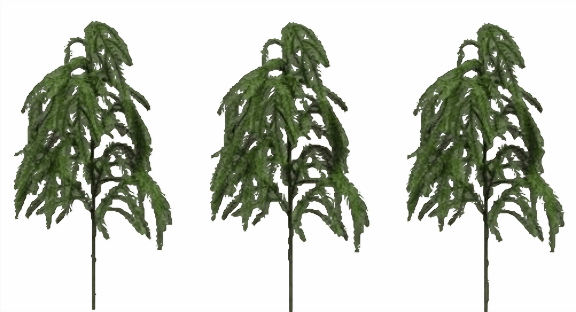 Green Pine Christmas Decoration Pick, 24 inches, 3 Piece, by My Texas House