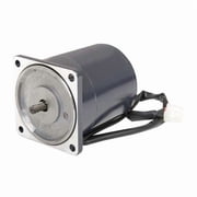 DCGearmotorComponentMotor,1/19hp,3000RPM 23L387