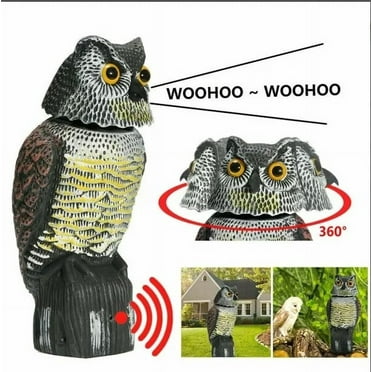 DCOOLMOOGL Owl Decoy Realistic Plastic Scarecrow for Birds Weatherproof