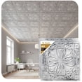 thumbnail image 1 of DCT10-Milan 2 ft. x 2 ft. PVC Glue-up or Lay-in Ceiling Tile in Old Black White (40 Sq.ft / Pack) - 10 Pieces, 1 of 25