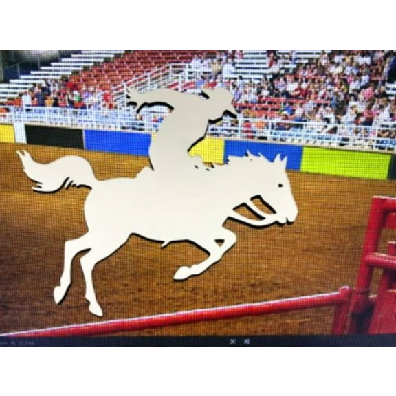 DCentral® Rodeo Flexible Vinyl Safety Screen Magnets: Double-Sided. White-Easier to See Day & Night. Decorative. Helps Stop Walking into Screens, for Non-RETRACTABLES, Size W 8" x L 7.5"