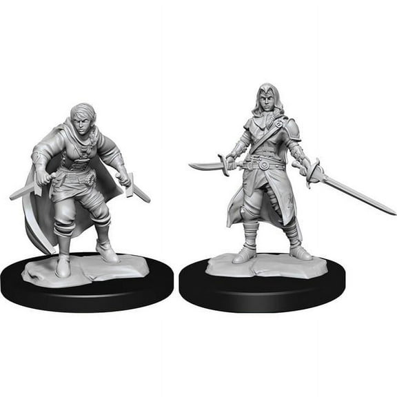WizKids WZK90228 D&D Nolzurs Marvelous Unpainted Half-Elf Rogue Female W14 Miniature