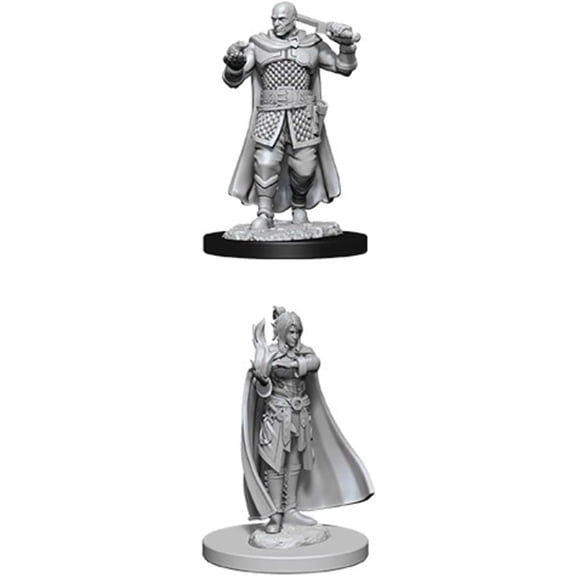 Dungeons & Dragons Nolzur`s Marvelous Unpainted Miniatures: W08 Human Ranger & Moon Elf Sorcerer
