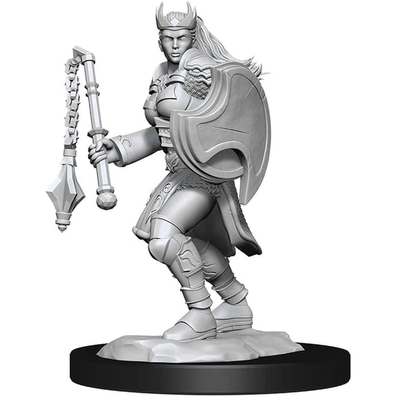 DD Nolzurs Marvelous Miniatures: NPCs and Enemies