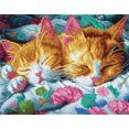 thumbnail image 1 of Diamond Dotz Kitty Kip Diamond Painting Kits for Adults - Cat Diamond Art Kits a Relaxing Creative Craft Kit with Dotz Gems 13.6x17.5, 1 of 3