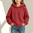 thumbnail image 1 of DDAPJ pyju Kids Fuzzy Fleece Sweatshirt Boys Girls Cozy Sherpa Hoodies Loose Fit Drop Shoulder Pullover Tops Fall Winter Warm Hoodie Sweatshirts 4-15 Years, 1 of 8