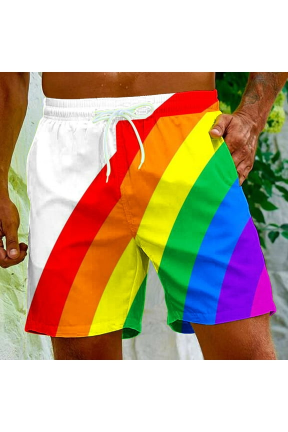 Men's Board Shorts LGBT Pride Rainbow Flag Swim Trunks Elastic Waist Drawstring Beach Shorts Quick Dry Bathing Suits Summer Holiday Shorts with pockets Multicolor#3 S