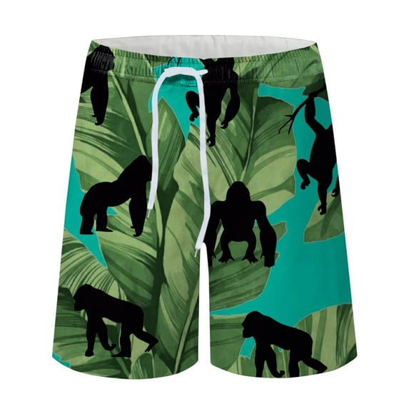 DDAPJ pyju Mens 3D Print Beach Shrots Summer Casual Lightweight Surfing Shorts Drawstring Waist Athletic Shorts Stylish Hawaiian Shorts