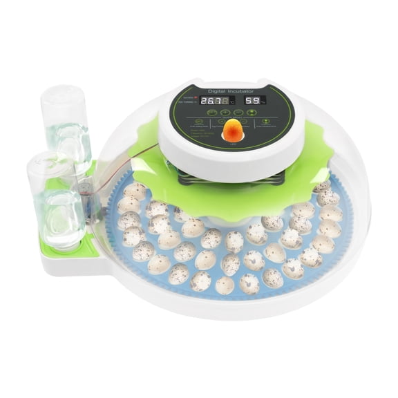 DDBESSIC 60W Quail Egg Incubator for Hatching 60 Eggs Small Quail Brooder with LED Screen 50-104F