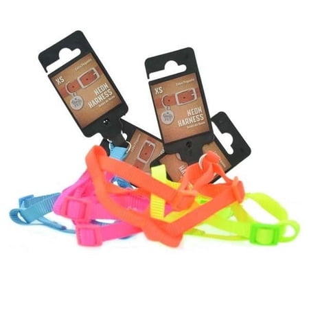 DDI 2332272 Neon Color Harness, Assorted Color - Case of 96