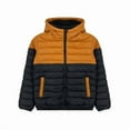 thumbnail image 1 of DDI 2381167 Boys Hooded Sherpa Lined Colorblock Jacket, Camel, 2T-4T - Case of 24, 1 of 1