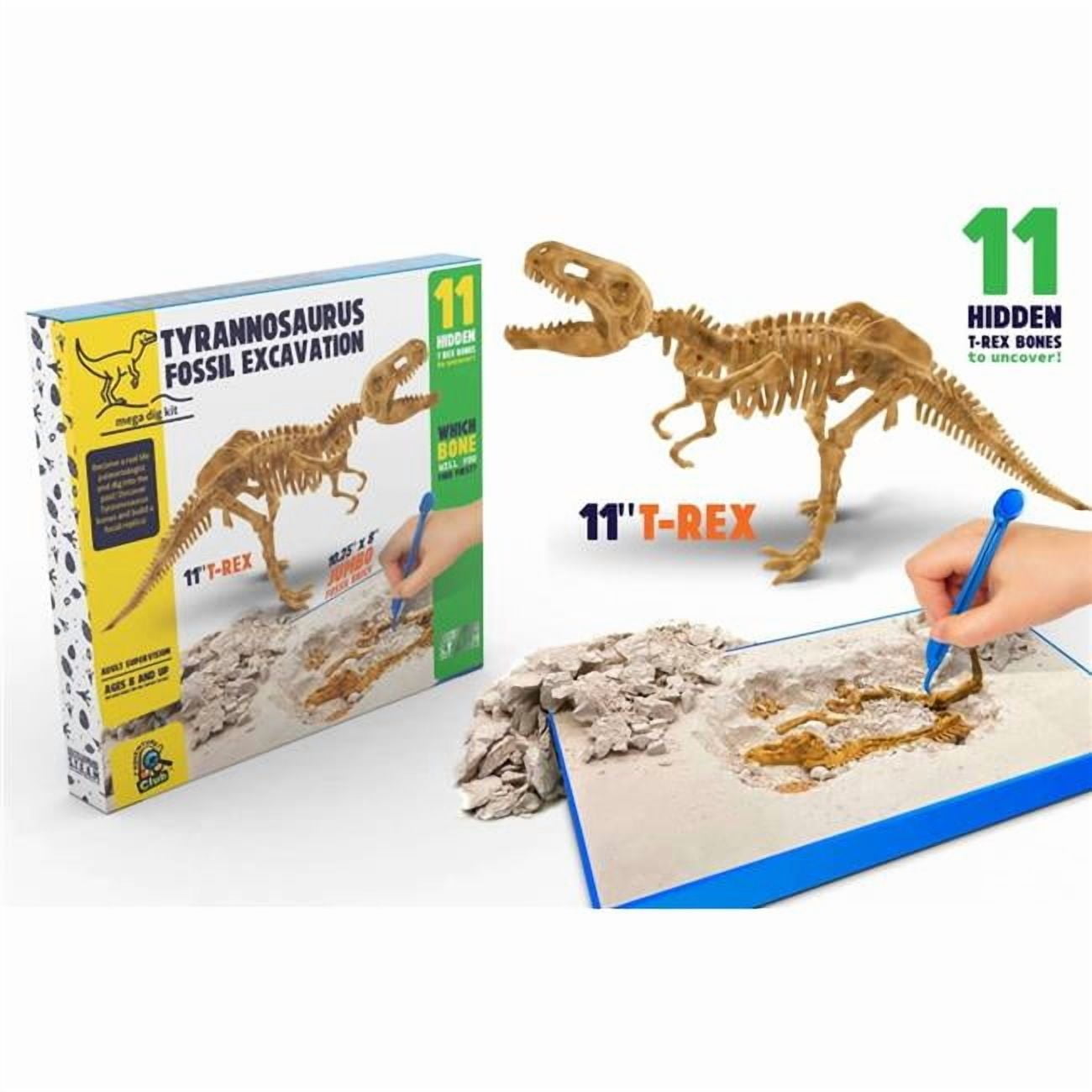 DDI 2376981 T-Rex Fossil Excavation Mega Dig Kits - Case of 6 - Walmart.com