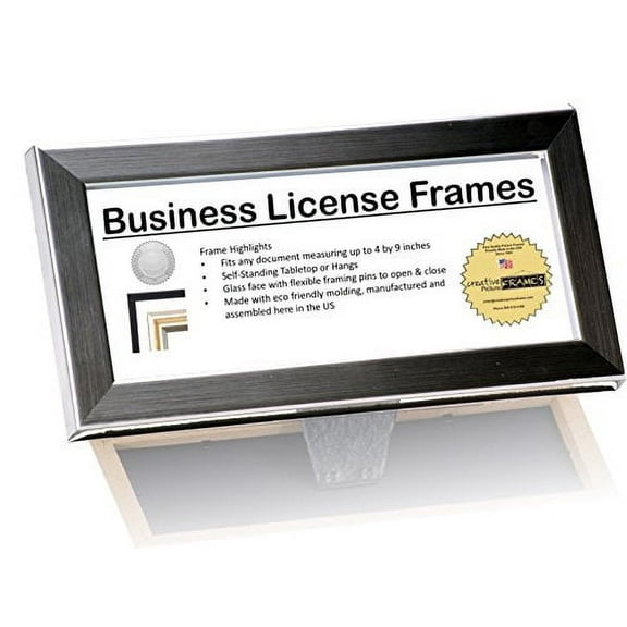 DEA Stainless Steel Like License Frame - Displays any 3.5 by 8.5 inch Document on Counter/Tabletops or Hang and Display Your Collection Together on the wall for Professionals