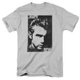thumbnail image 1 of DEAN/GRAPHIC - S/S ADULT 18/1 - SILVER - 3X, 1 of 1