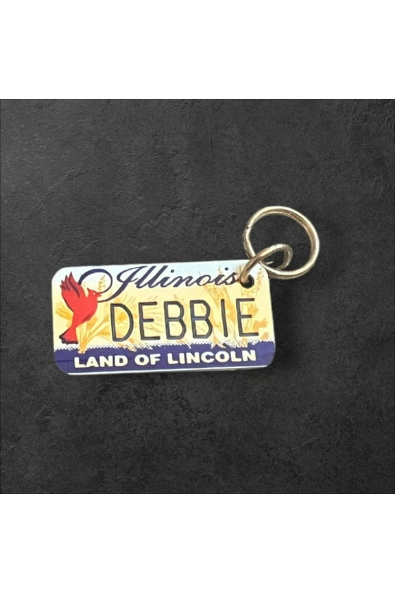 DEBBIE Name Keychain License Plate Illinois Land of Lincoln Great Gift 2 New