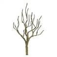 thumbnail image 1 of DECIDUOUS 1.5'' PRO ARMATURE 6/pk, 1 of 1