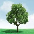 thumbnail image 1 of DECIDUOUS 5.5'' PRO-ELITE O-scale 1/pk, 1 of 1
