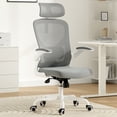 thumbnail image 1 of DECMAY Ergonomic Office Chair with Headrest, High Back Desk Chair with Lumbar Support & Flip-up Arms, 1 of 9