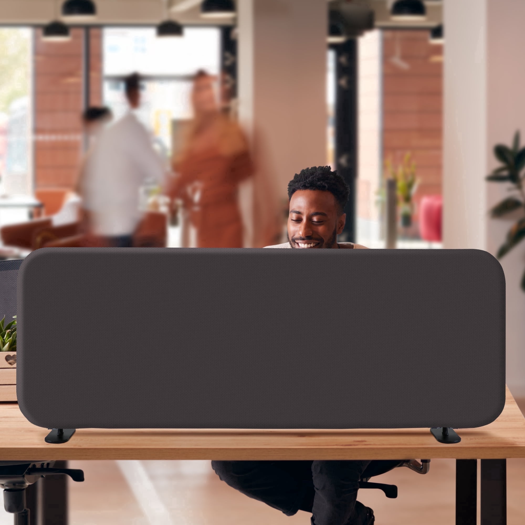 DECOLAB Freestanding Desk Divider, Portable Desk Privacy Partition for Home Office, Classroom, Study, 48"x18", Iron