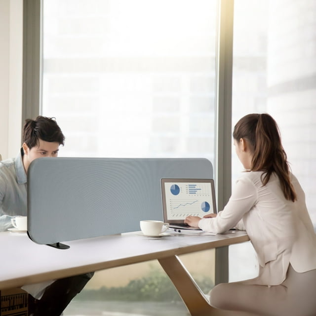 DECOLAB Portable Table Partition Screen Panel, Freestanding, Scratch Resistant, 48"x18"