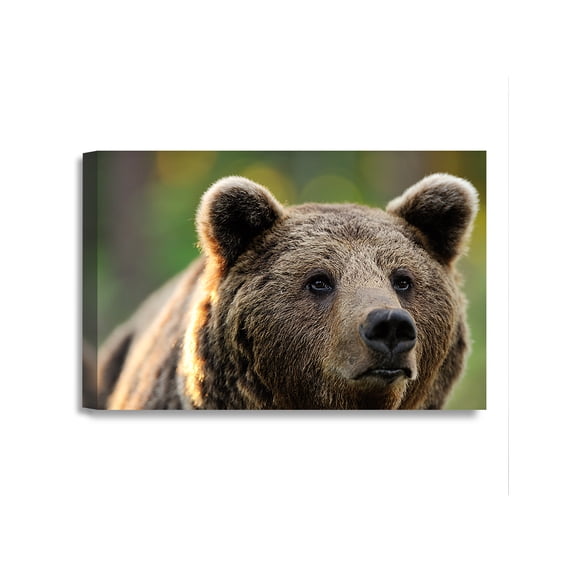 DECORARTS - Bear on the Hunt. Giclee Prints Cotton Canvas Stretched Wall Decor. Wild Animal Wall Art. Safari Art. 18x12"