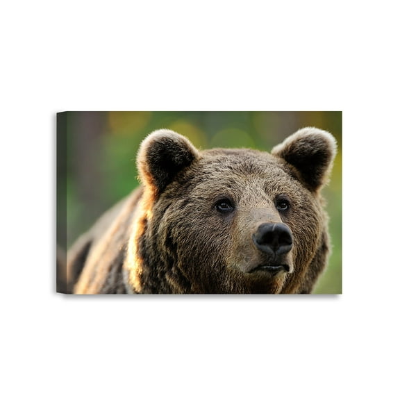 DECORARTS - Bear on the Hunt. Giclee Prints Cotton Canvas Stretched Wall Decor. Wild Animal Wall Art. Safari Art. 24x16"