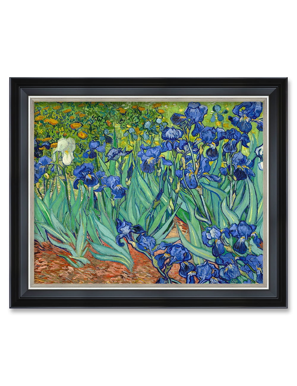 DECORARTS Irises in the Garden by Van Gogh Framed Print 20x16" Art on Cotton Canvas Solid Wood