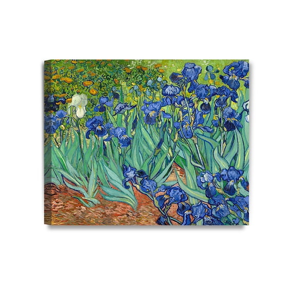 DECORARTS - Irises in the Garden by Vincent Van Gogh. Oil Painting Reproduction. Giclee Print on Canvas. Ready to Hang Wall Art for Home and Office Decor. 24x20