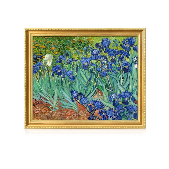 DECORARTS - Irises in the Garden, Vincent Van Gogh Art Reproduction. Giclee Print on Canvas. Framed Wall Art for Home