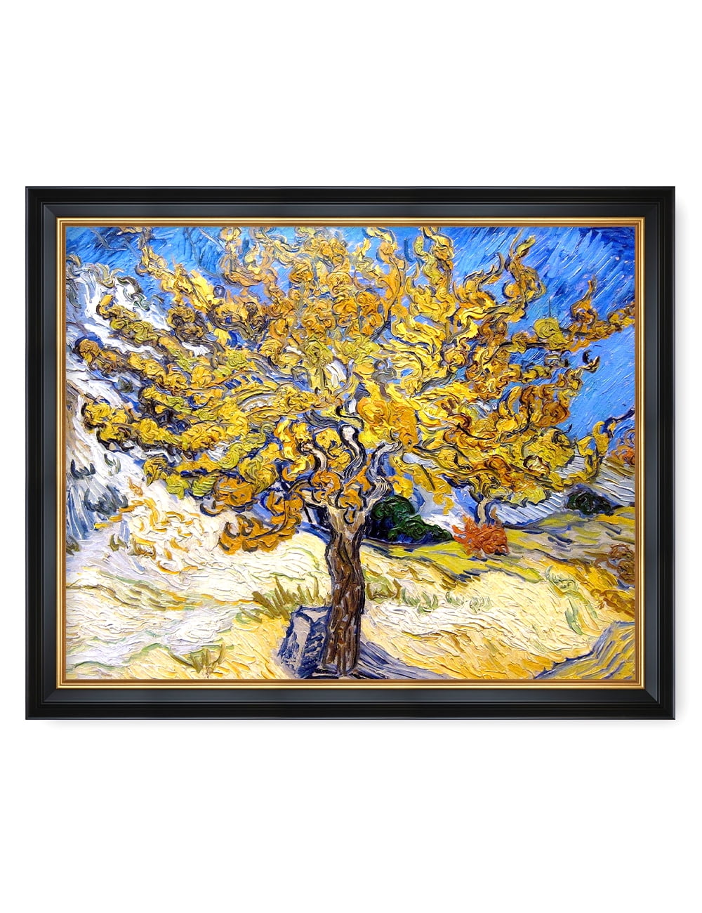 Vincent Van Gogh The Mulberry Tree Canvas Print with Gold Frame