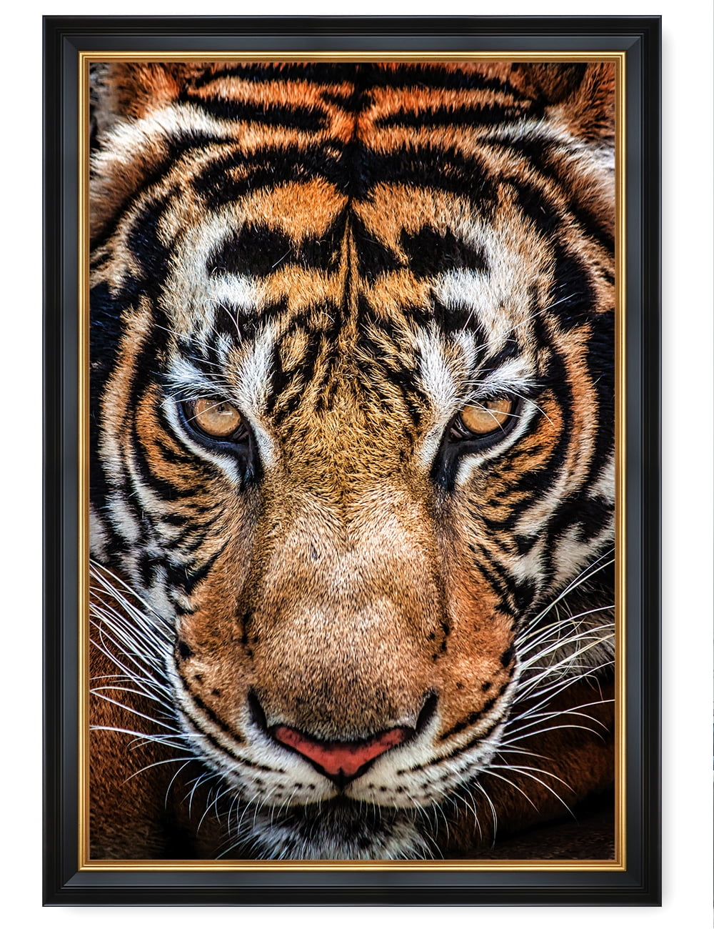DECORARTS-Tiger-Prowl-Wild-