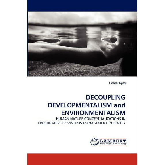 DECOUPLING DEVELOPMENTALISM and ENVIRONMENTALISM (Paperback)