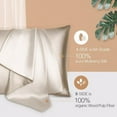thumbnail image 1 of DEELLEEO Silk Pillowcase 2 Pack for Hair and Skin, 22 Momme 100% Mulberry Silk, Double-Sided Silk Pillow Cases with Hidden Zipper (Champagne, King 20" x 36"), 1 of 5
