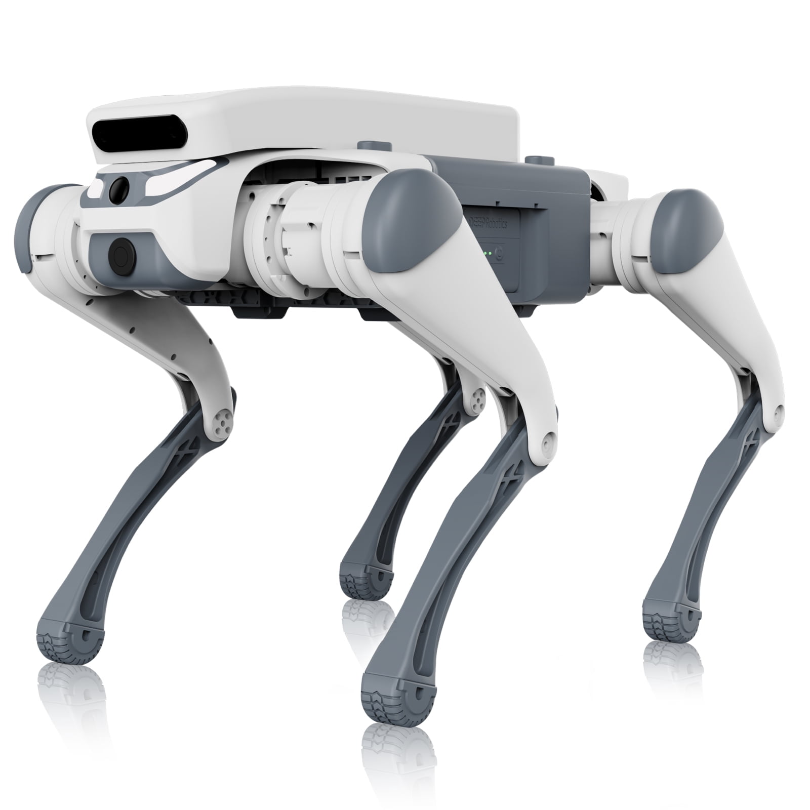 DEEP Robotics Lite 3 Quadruped Robot Dog – Autonomous Smart Bionic ...