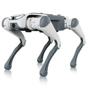 DEEP Robotics Lite 3 Quadruped Robot Dog   Autonomous Smart Bionic, Supports Secondary Development, STEM Education Kit for Research Platform, Patrol & Entertainment Basic