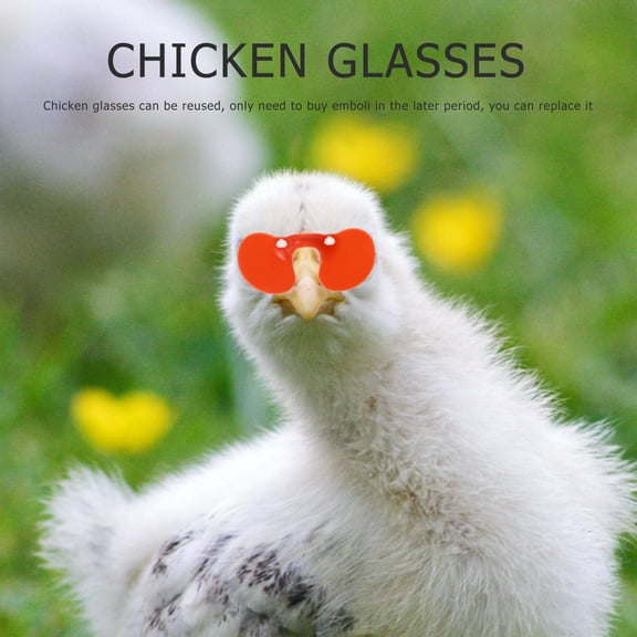 DEEPCRAFF Back to School Pheasant Spectacles Chicken Peepers Plastic Red 100Set Farmers