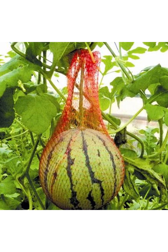 100Pcs Red Shopping Storage Bag Mesh Weaving Handbag for Portable Use and Heavy Load