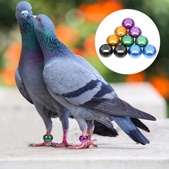 DEEPCRAFF 10Pcs Aluminum Bird Leg Bands Assorted Colors Versatile Pigeon Foot Rings for Poultry