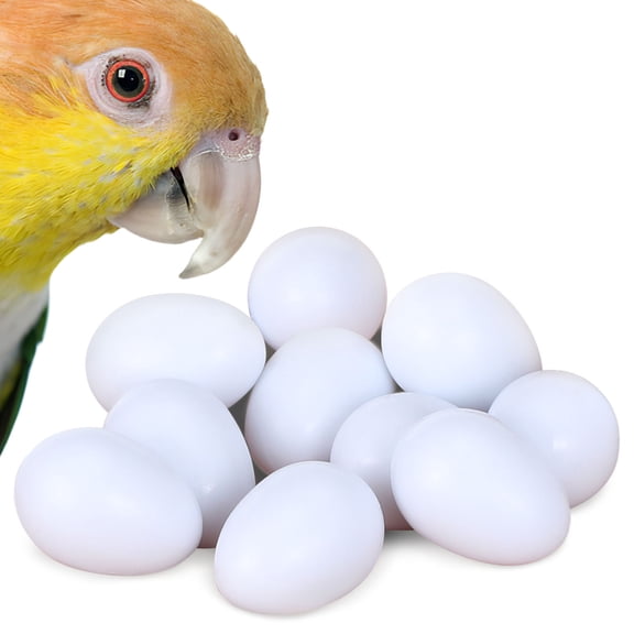 DEEPCRAFF 10Pcs Realistic White Plastic Bird Egg Props for Bird Breeding and Egg Production Aid