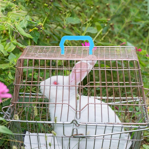 DEEPCRAFF Detachable Sky-Blue Plastic Handle for Pet Cages Easy to Carry 10Pcs