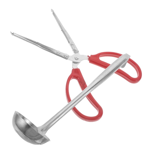 DEEPCRAFF 1Set Heavy Duty Plated Silver Firewood Grabber with Scoop and Ash Shovel Fireplace Accessories