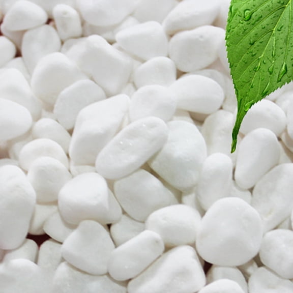 DEEPCRAFF 1Set White Terrarium Rocks for Plant Pot Vase and Aquarium Decor